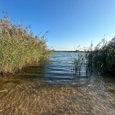 - Idyllisches Mit Privatstrand Und Sauna In Der Naehe Von Leipzig #hausjonas * Lobnitz (Saxony)