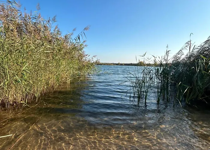 - Idyllisches Mit Privatstrand Und Sauna In Der Naehe Von Leipzig #hausjonas * Lobnitz (Saxony)