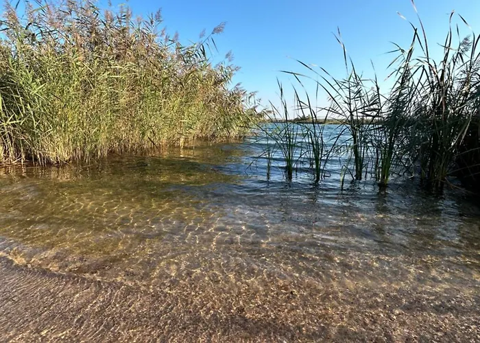 - Idyllisches Mit Privatstrand Und Sauna In Der Naehe Von Leipzig #hausjonas