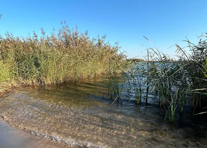 - Idyllisches Mit Privatstrand Und Sauna In Der Naehe Von Leipzig #hausjonas Holiday home